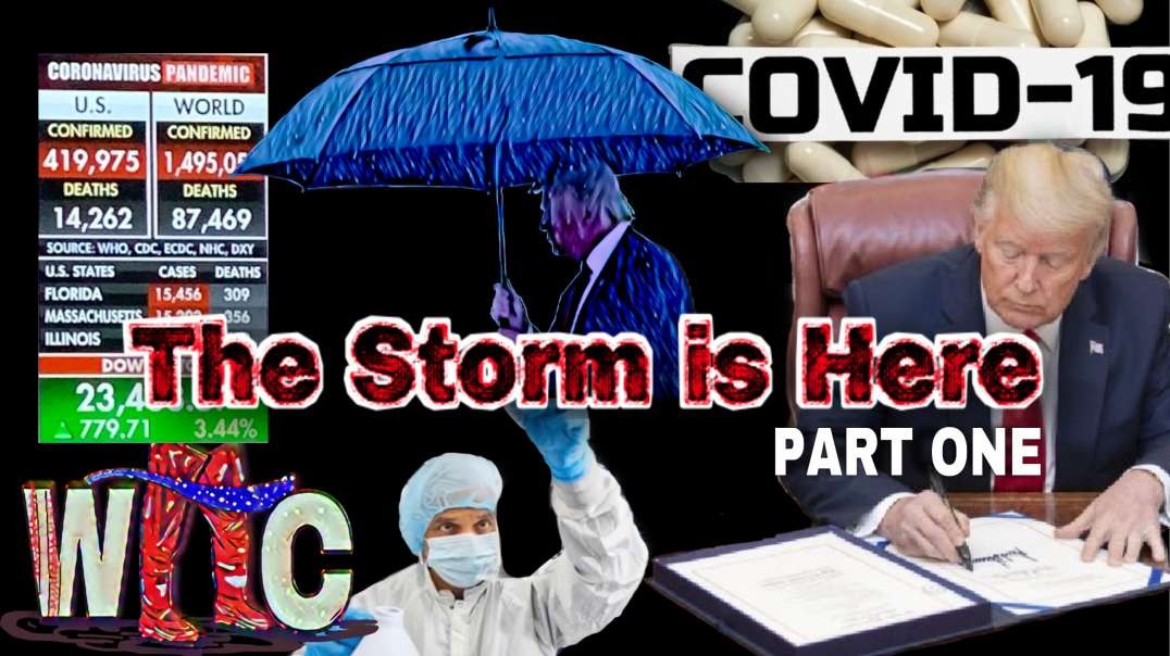 The Storm is Here Part 1 - Trump Admin Response to Covid-19 Scamdemic