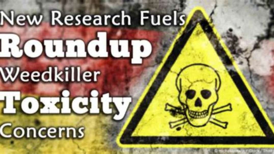 The Truth About GMOs and Glyphosate - 2 Year Study