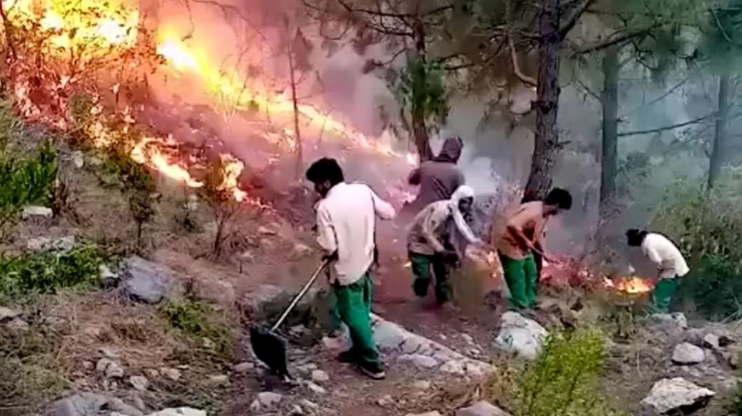 National park is on FIRE!  Major Wildfire on Margalla Hills, Islamabad, Pakistan.mp4