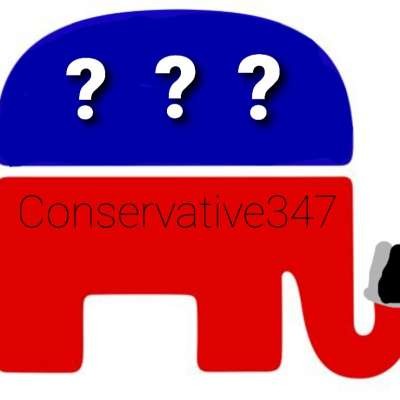 Conservative347: The Anonymous Patriot