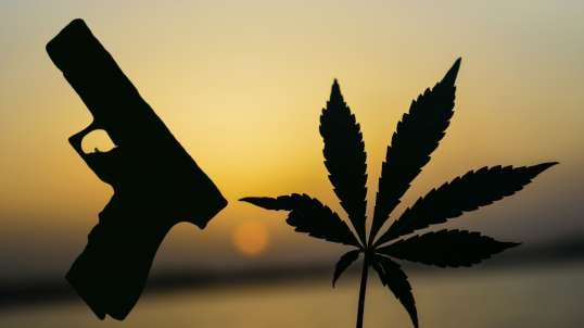 We CAN Stop Federal Gun Prohibition: State Marijuana Laws Show How