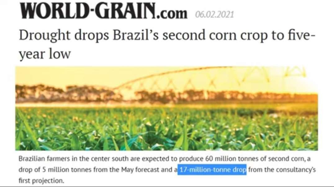 Who Wouldn't Prepare Now as Prices Rise for Everything _.mp4
