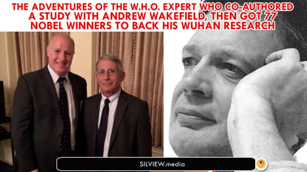 Fauci henchman, Andrew Wakefield collaborator, Clinton donor, CCP activist - Anatomy of a WHO expert