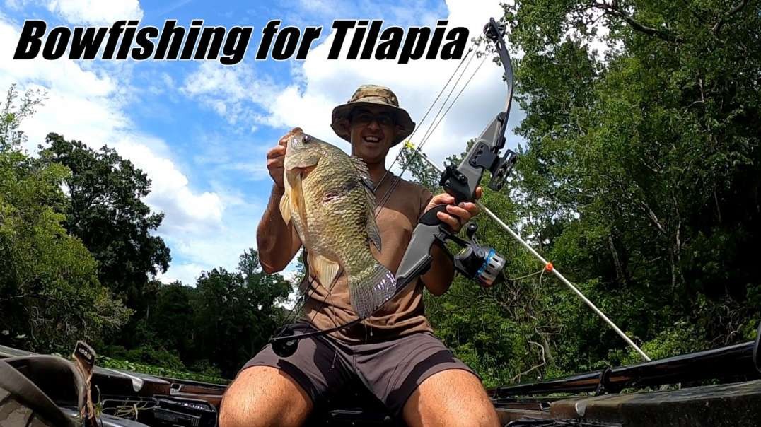 Bowfishing for Tilapia in Florida