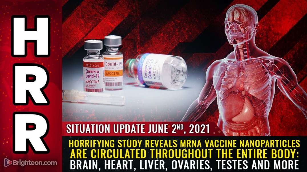 SITUATION UPDATE:  HORRIFYING STUDY REVEALS mRNA VACCINE NANOPARTICLES ARE CIRCULATED THROUGHOUT THE ENTIRE BODY - BRAIN, HEART, LIVER, OVARIES, TESTES AND MORE [2021-06-02] - MIKE ADAMS