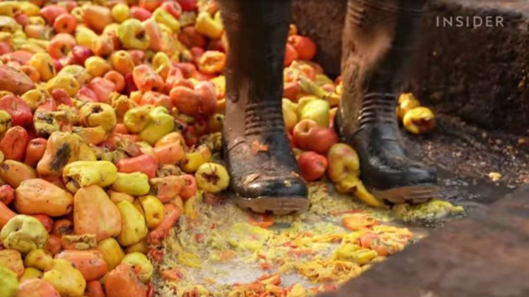 How Families In India Are Keeping A 500-Year-Old Cashew Liquor Tradition Alive __HIGH.mp4