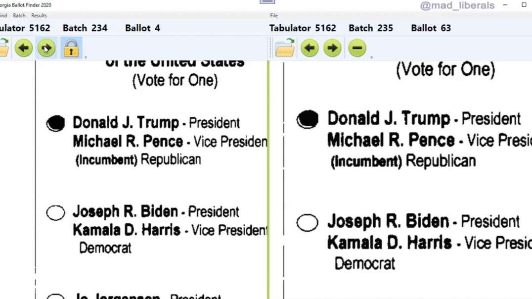 Election Fraud (GA) - Duplicate Ballots