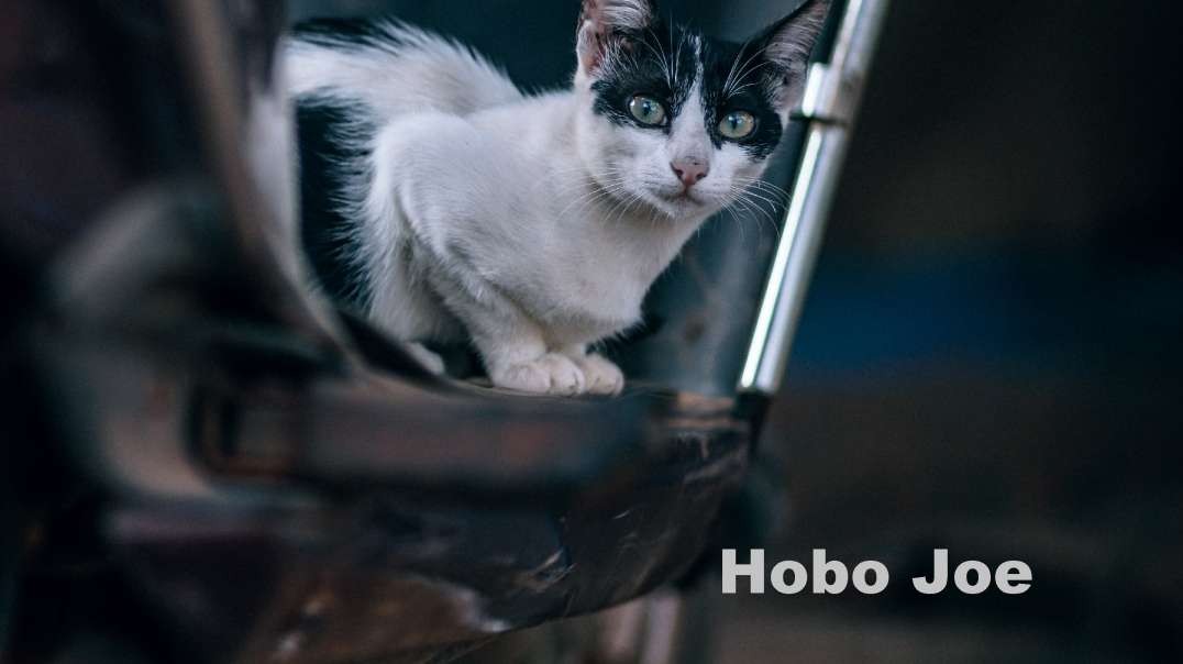 "Hobo Joe" - jazz