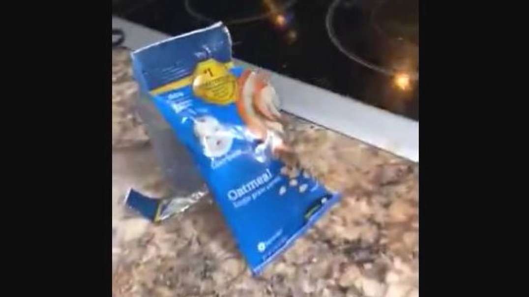 Iron Shavings Found in Gerber's Oatmeal Cereal