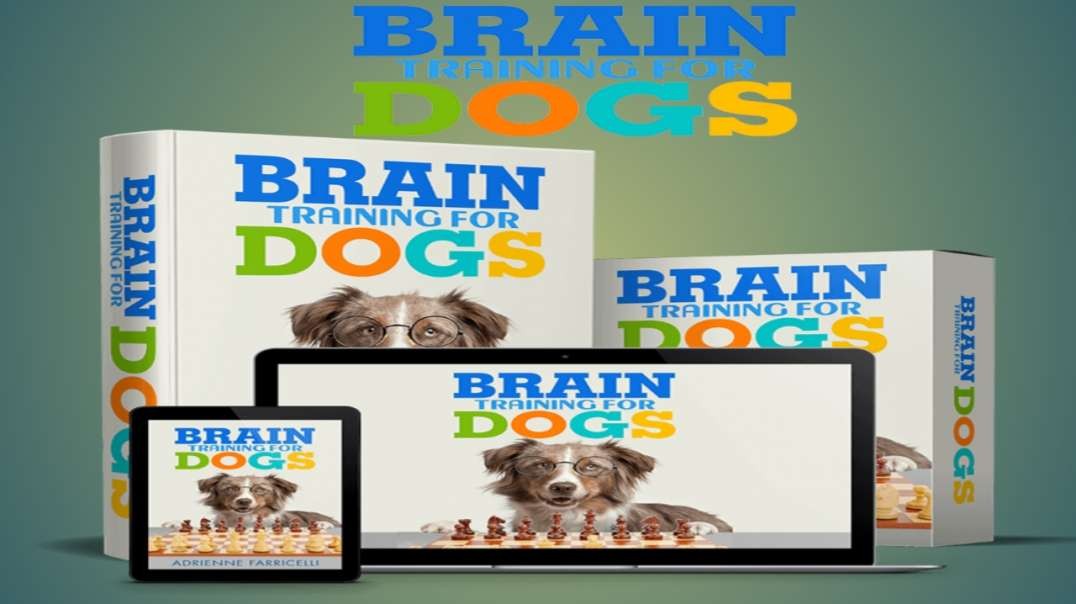 #Brain Training For Dogs