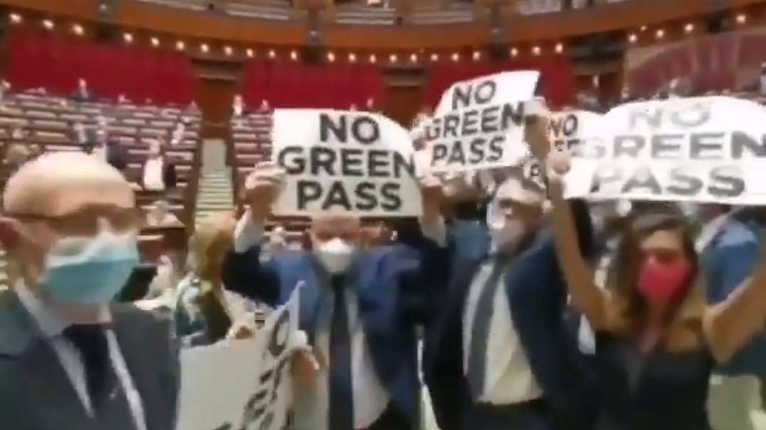 BIZARRE scenes in  Italian Parliament 30/07/2021