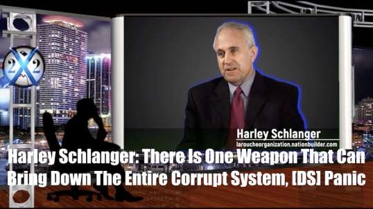 SGT REPORT - Harley Schlanger: There Is One Weapon That Can Bring Down The Entire Corrupt System - 07 17 21