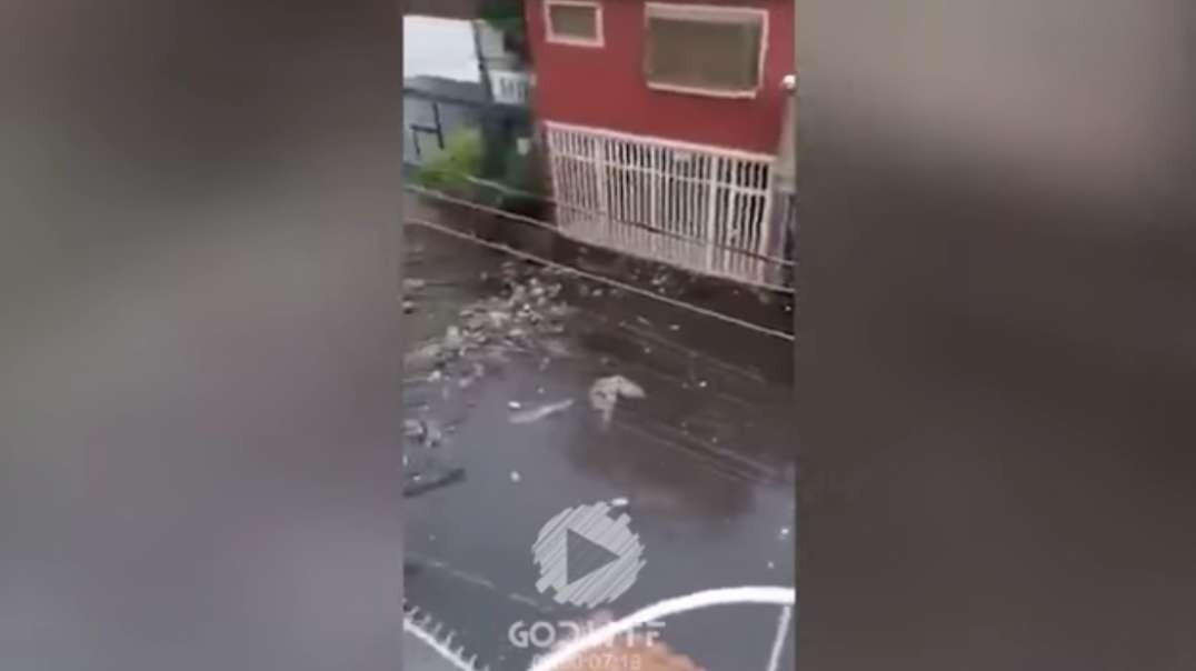 Mexico City has been destroyed by a terrible flood! People are in a panic!.mp4