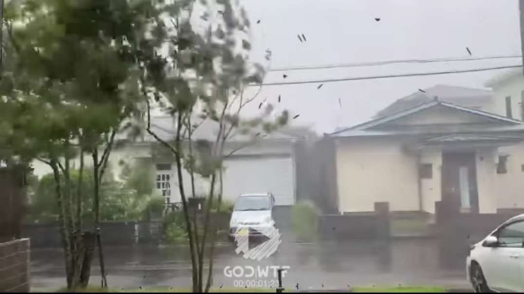The worst typhoon hit Japan! Will the Tokyo Olympics 2020 be canceled_.mp4