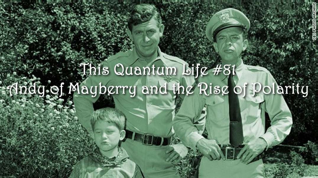 This Quantum Life #81 - Andy of Mayberry and the Rise of Polarity