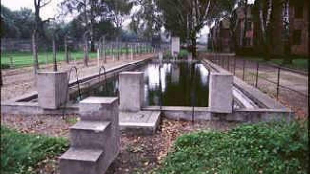 Auschwitz Swimming Pool, Aug 21, 2021