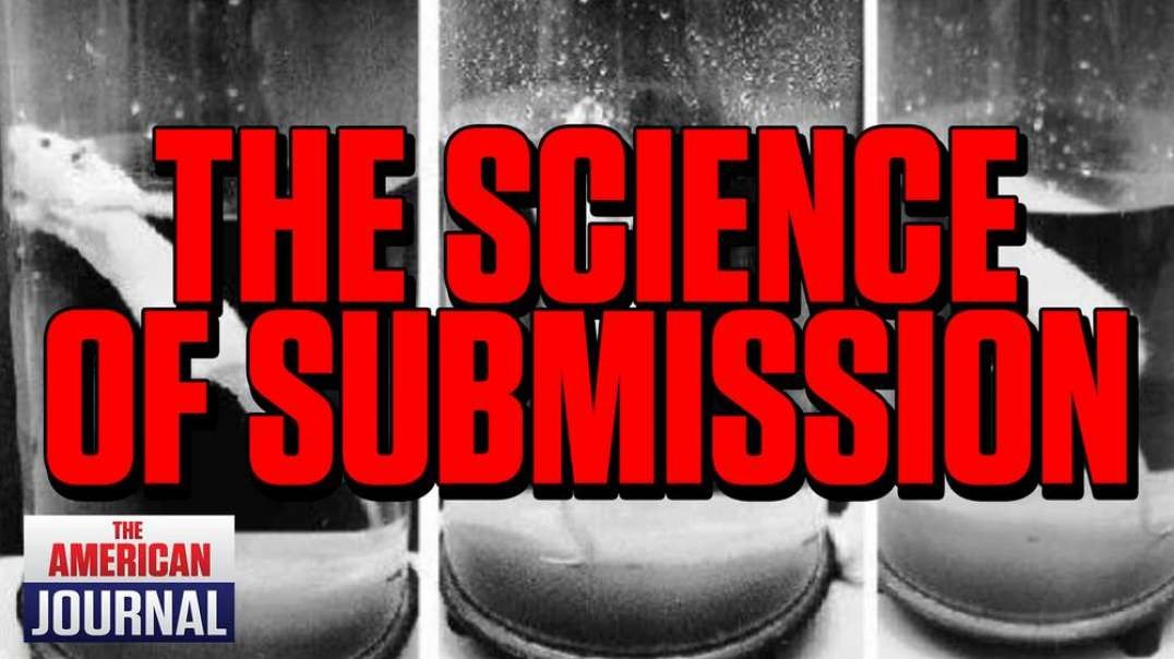 Boiling Frogs And Drowning Rats- The Science Of Submission