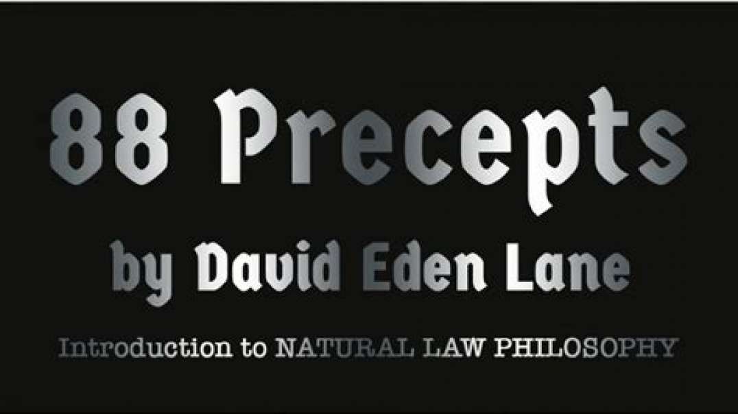 88 Precepts - by David Lane [audiobook]