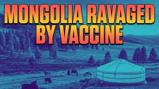 Mongolia and Vietnam - Covid Free Until Vaccine Came Along