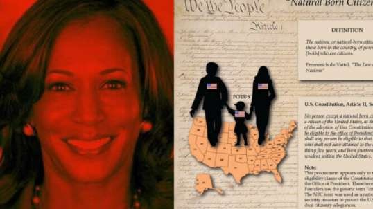It's Time To Address Natural Born Citizen Status... Again