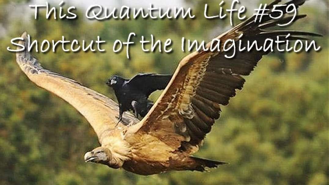 This Quantum Life #59 - The Shortcut of the Imagination