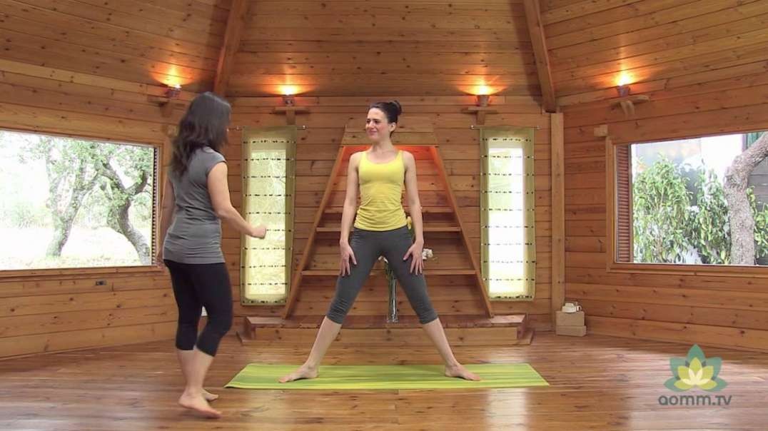 Yoga para principiantes clase completa