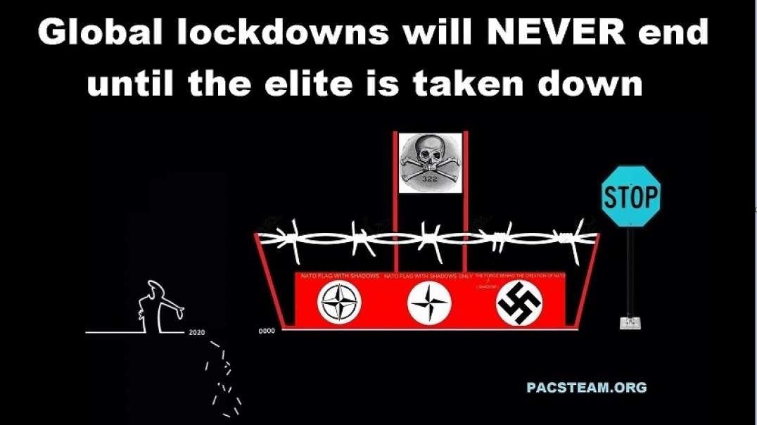 Global lockdowns will NEVER end until the elite is taken down