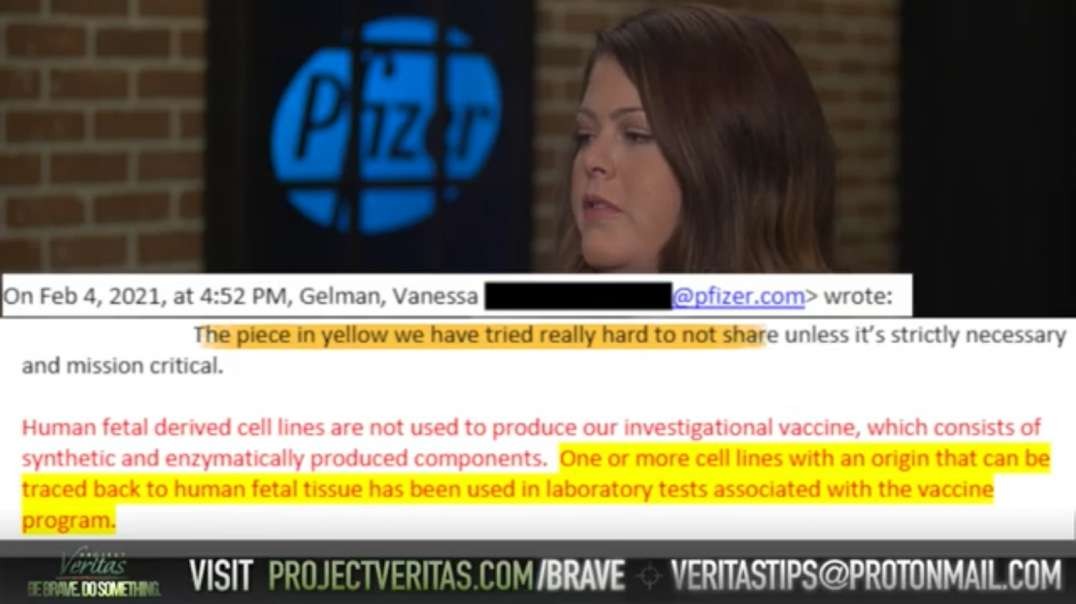 Pfizer Whistleblower Leaks Execs Emails: ‘We Want to Avoid Having Info on Fetal Cells Out There', Covid-19 Vax Exposed - Part 5, by Project Veritas