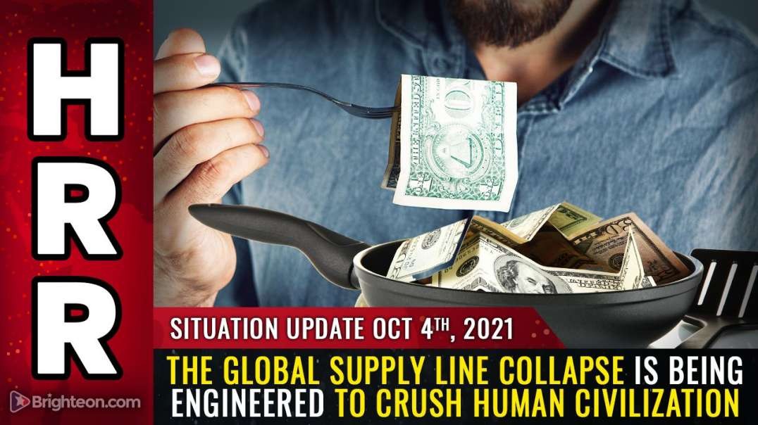 SITUATION UPDATE: THE GLOBAL SUPPLY LINE COLLAPSE [2021-10-04] - MIKE ADAMS (VIDEO).mp4