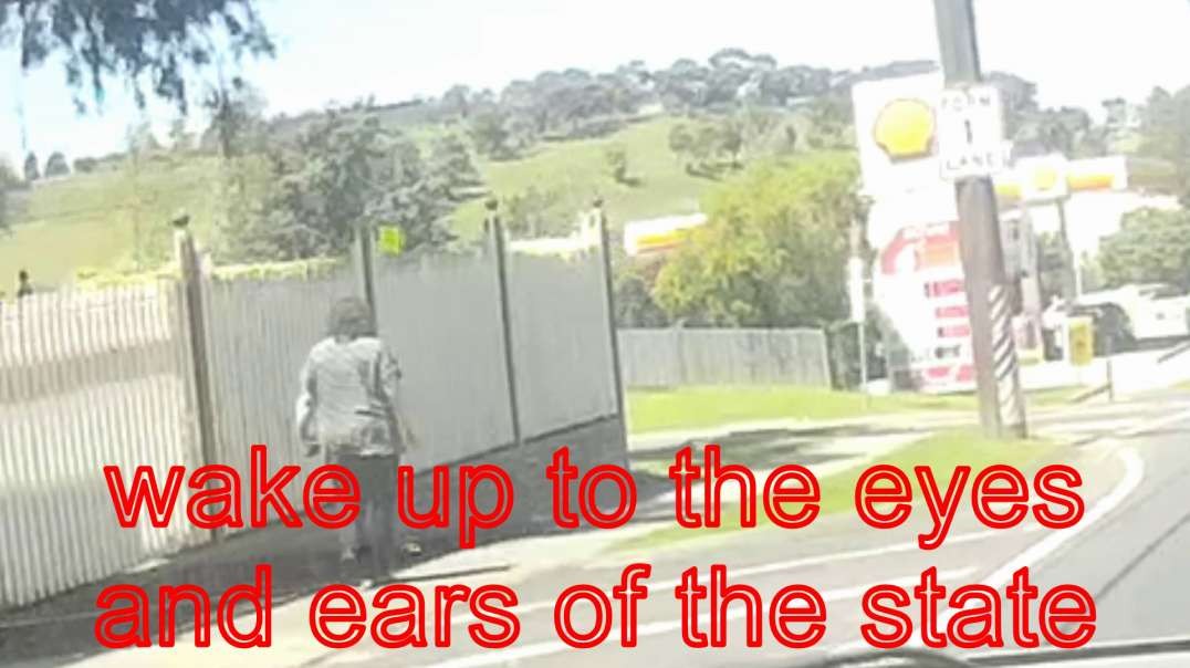 fake covid plandemic using the eyes and ears of the state to go along with the agenda gang stalking