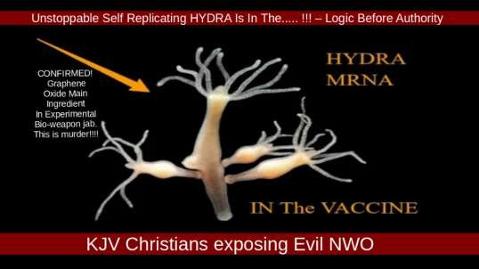 Unstoppable Self Replicating "HYDRA" Is In The..... !!!