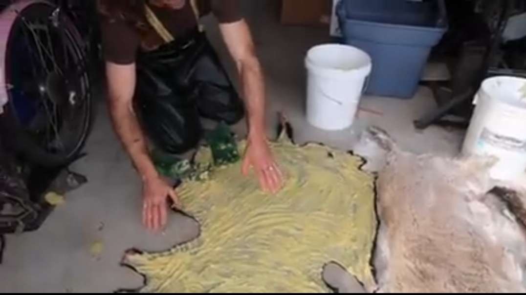 (3)Alum Tanning Lamb Hides.mp4