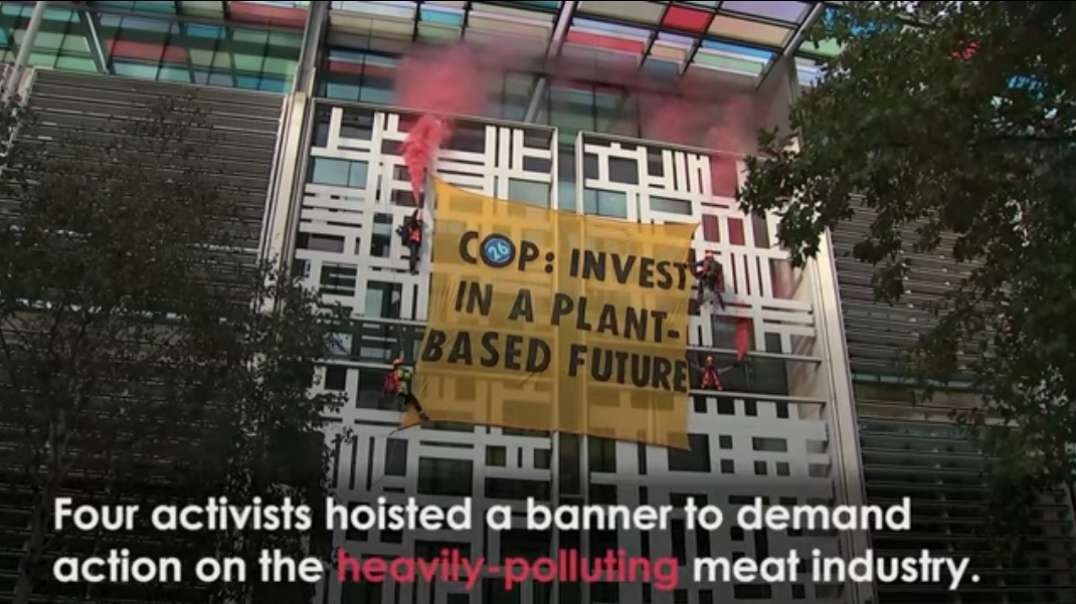Vegan Protesters DANGLE from Government Building.mp4