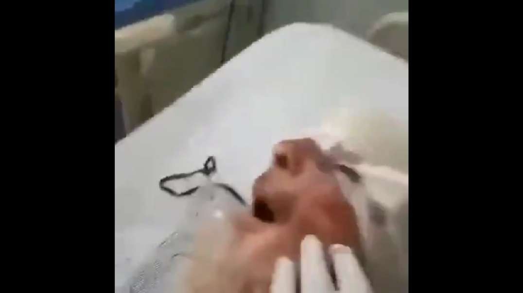 Exclusive: Video of Ariel Sharon…Still Alive, Suffering (Warning Unpleasant Content)