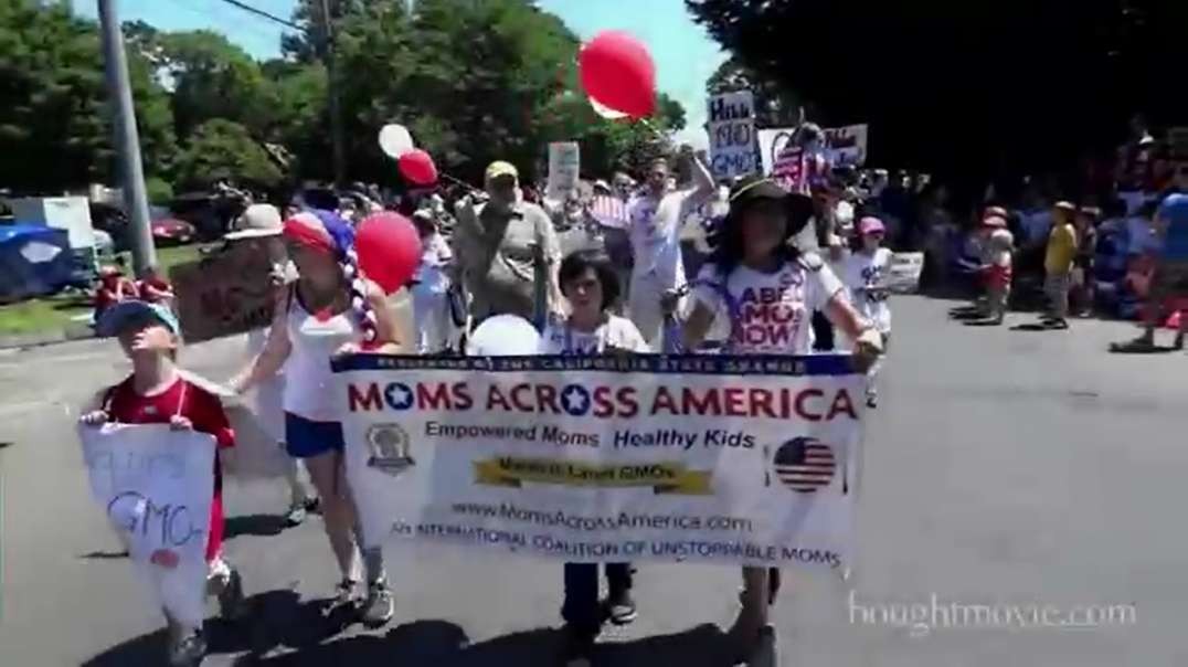 (17)GMO protest