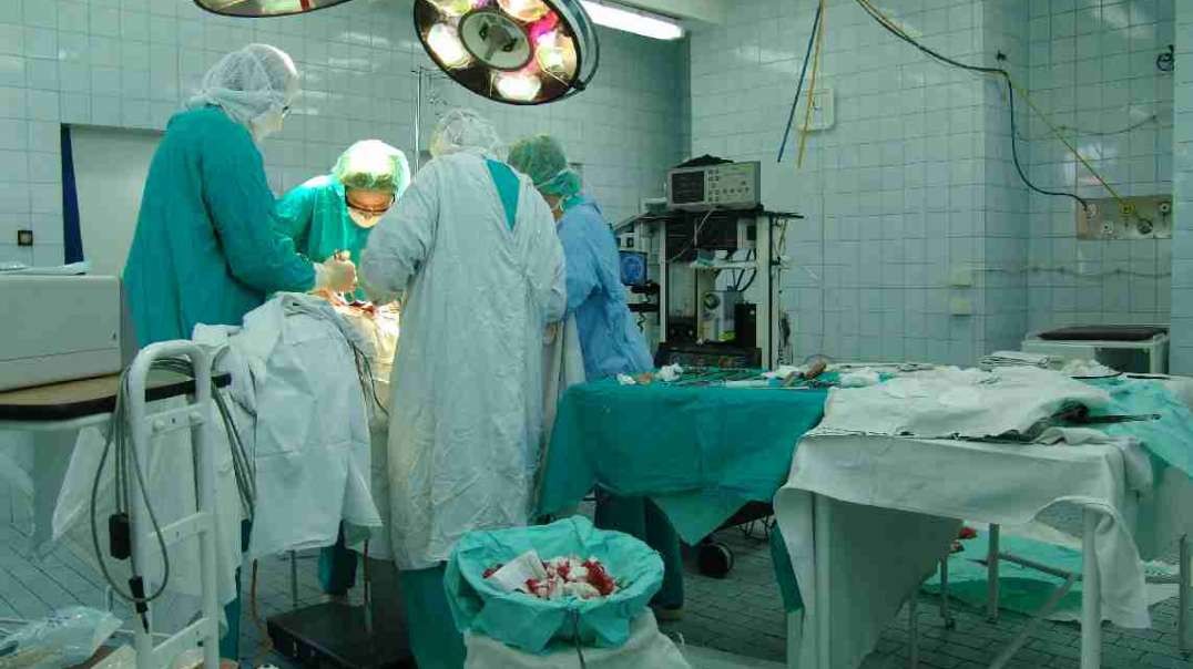LITTLE BOY CLONED FOR SPARE BODY PARTS