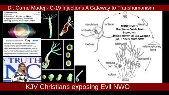 Dr. Carrie Madej - C-19 Injections A Gateway to Transhumanism