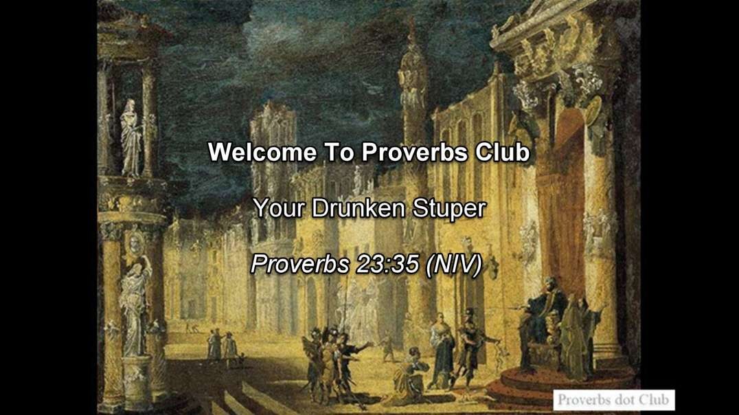 Your Drunken Stupor - Proverbs 23:35