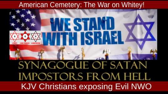 American Cemetery The War on Whitey! - Rob Lee Truth