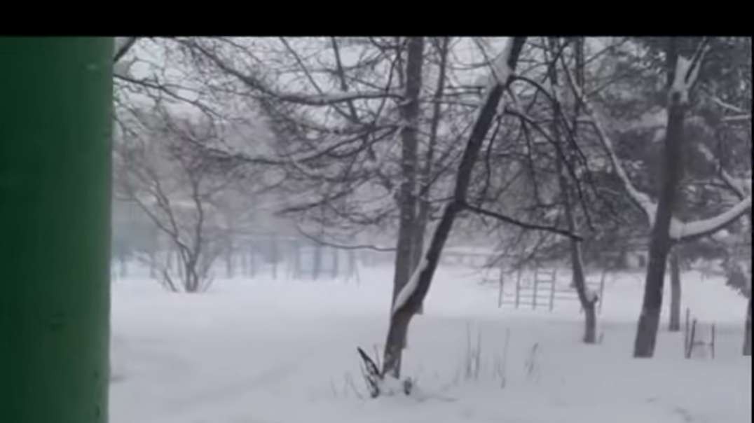 لا يصدق ! العاصفة الثلجية القاسية !! شاهد ماذا فعلت العاصفة في مدينة خاباروفسك !.mp4