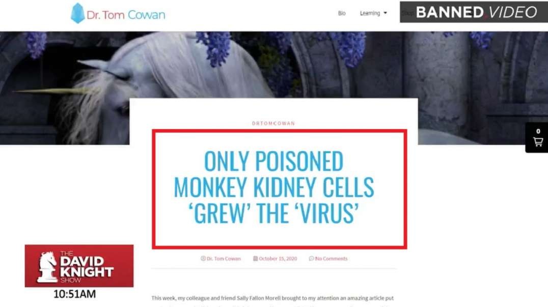 COVID is an Unicorn - CDC Paper Exposes Lack of Details About Virus That Has Shut Down the World