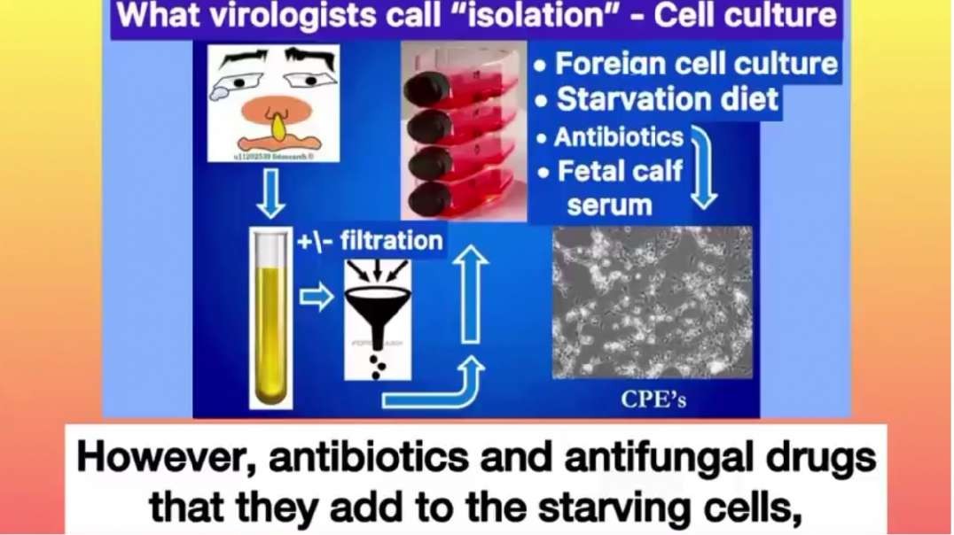 Dr Stefan Lanka: THE FINAL REFUTAL OF VIROLOGY