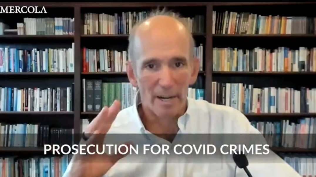 Francis Boyle - Roadmap for Prosecuting COVID Crimes