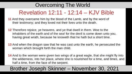 Overcoming The World - Brother Joseph Skinner