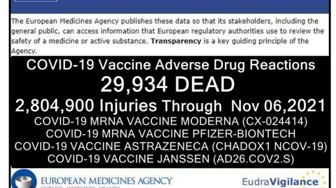 29,934 Deaths 2,804,900 Injuries Following COVID Shots in European Database of Adverse Reactions – After Pfizer Shots.mp4