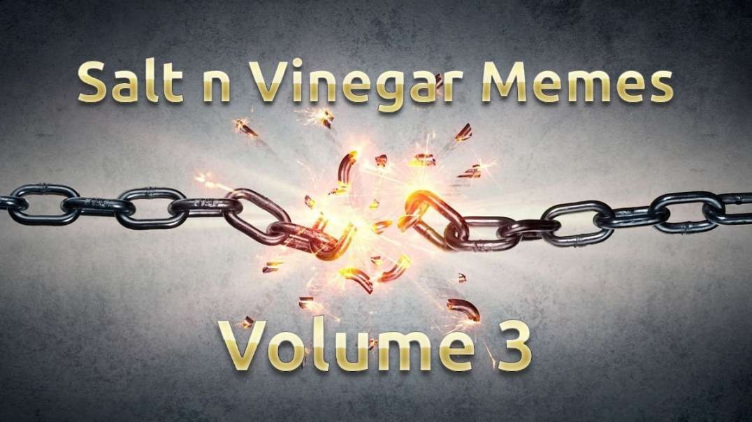 Salt n Vinegar Memes Volume 3.mp4