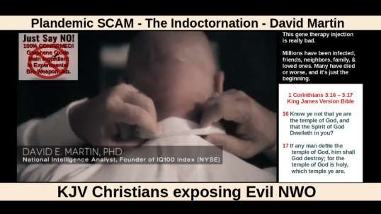 Plandemic SCAM - The Indoctornation - David Martin