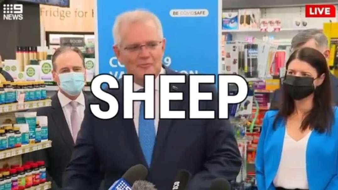Australia PM LITERALLY Refers to Those Getting the Shot as The Sheep ! mirror
