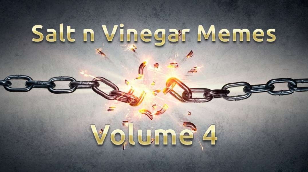 Salt n Vinegar Memes Volume 4.mp4