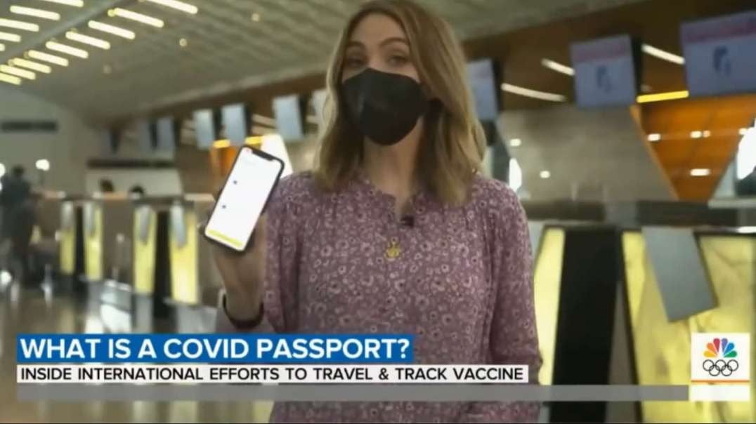 Hackers Destroy All of Brazil's Covid Digital Passports